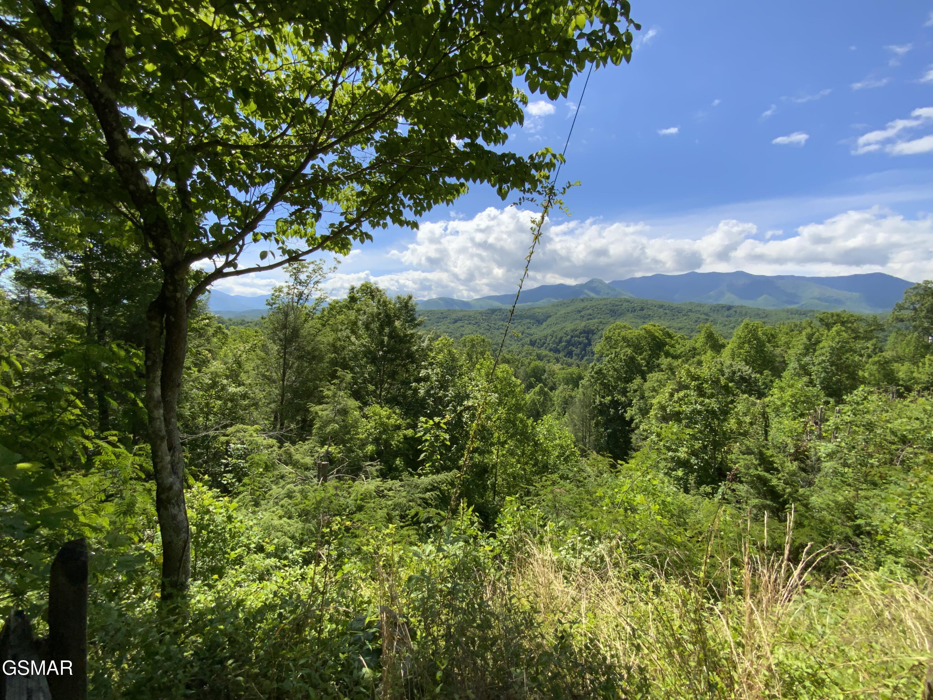 505 Crest Road Gatlinburg TN 37738
