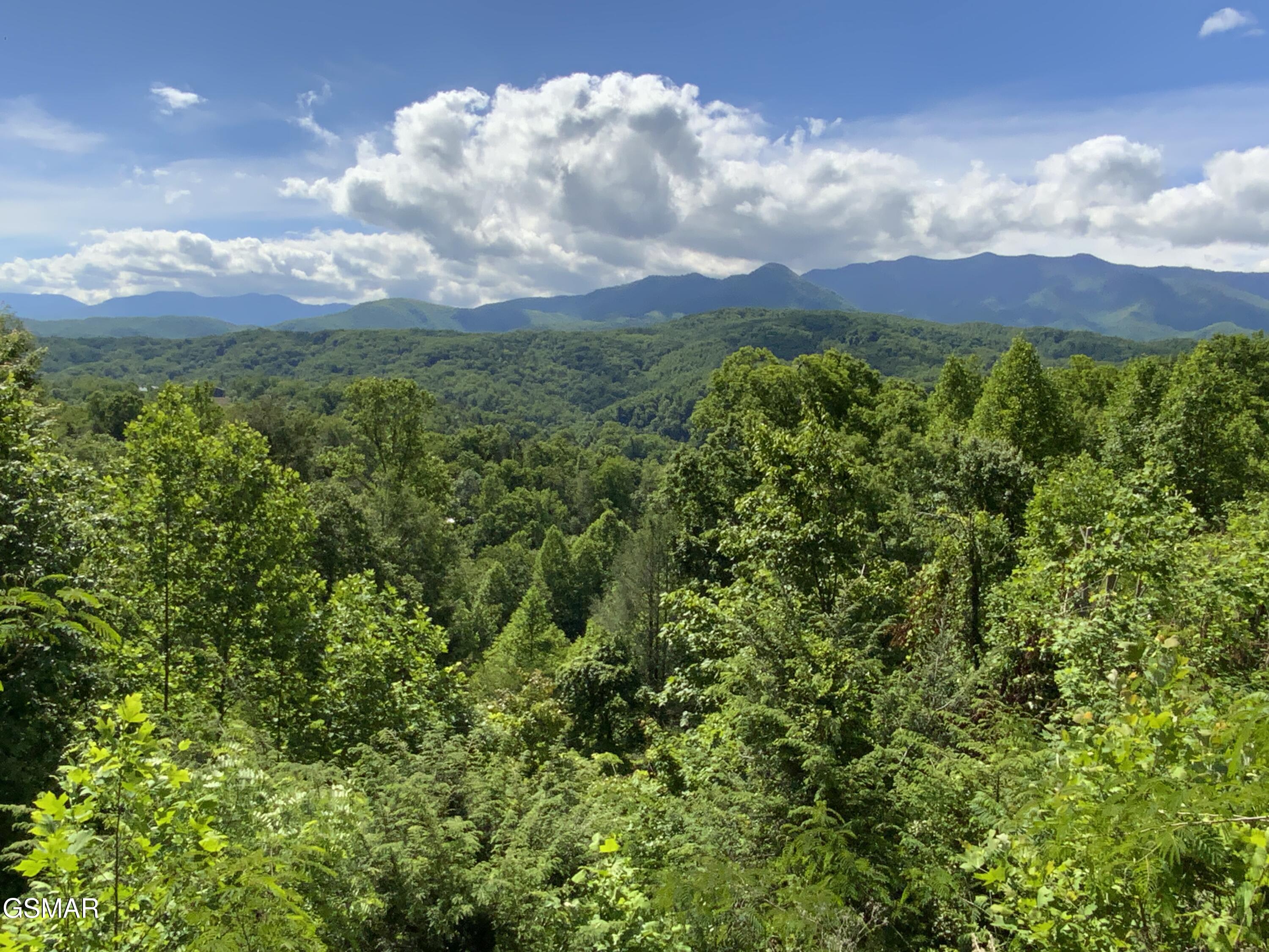 505 Crest Road Gatlinburg TN 37738