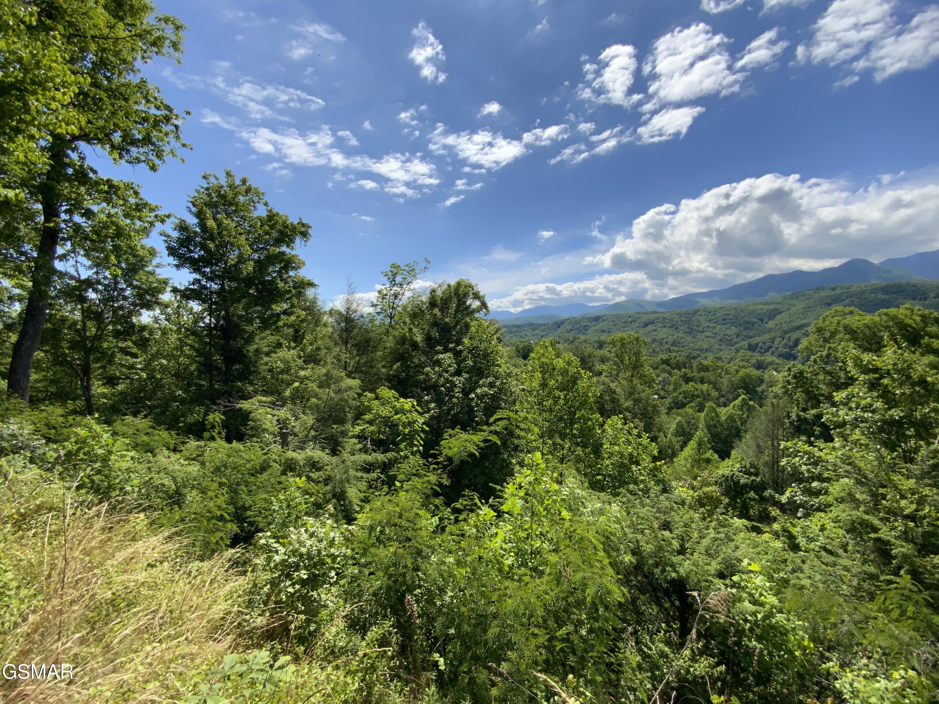 505 Crest Road Gatlinburg TN 37738