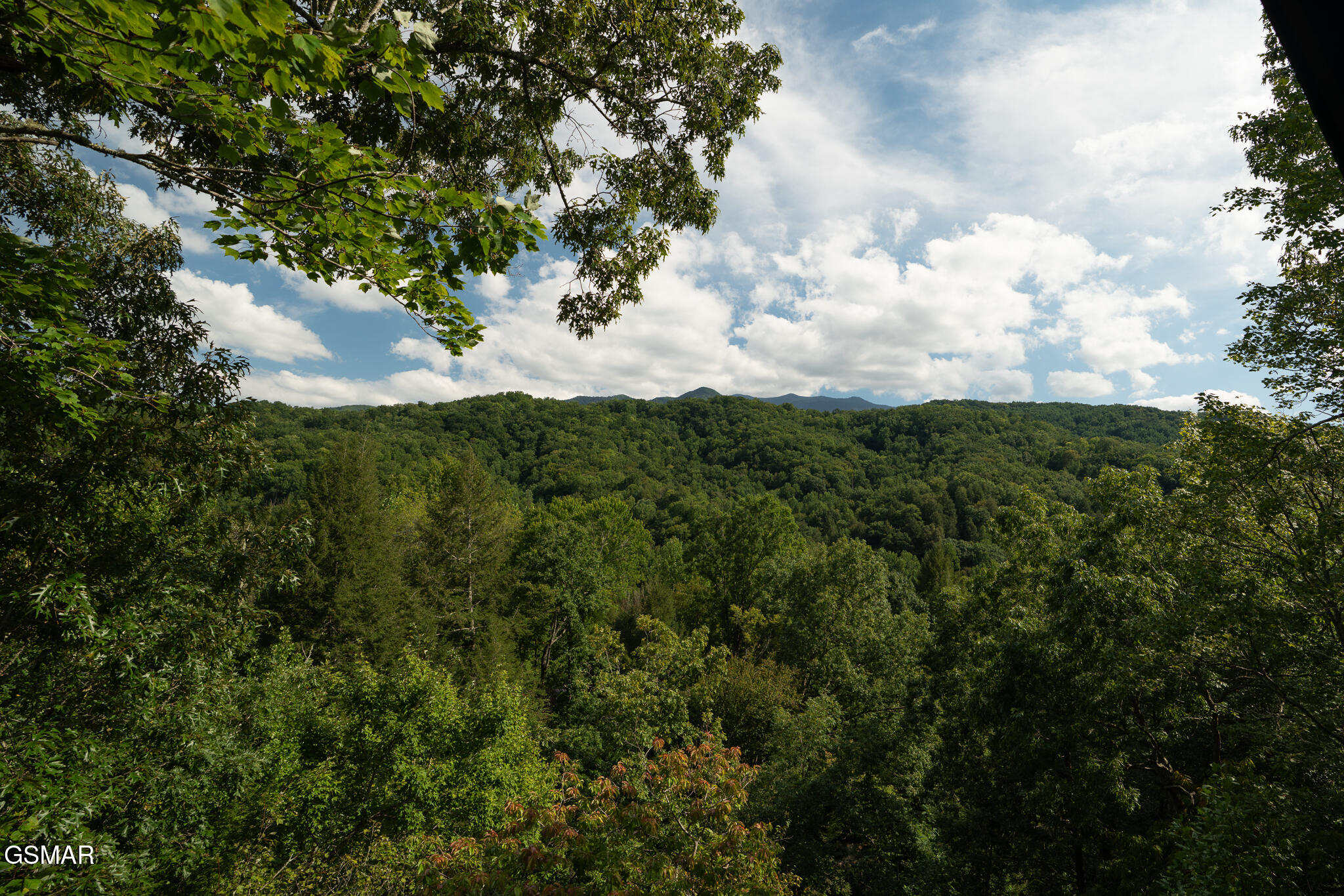 317 Brown Wren Way Gatlinburg TN 37738