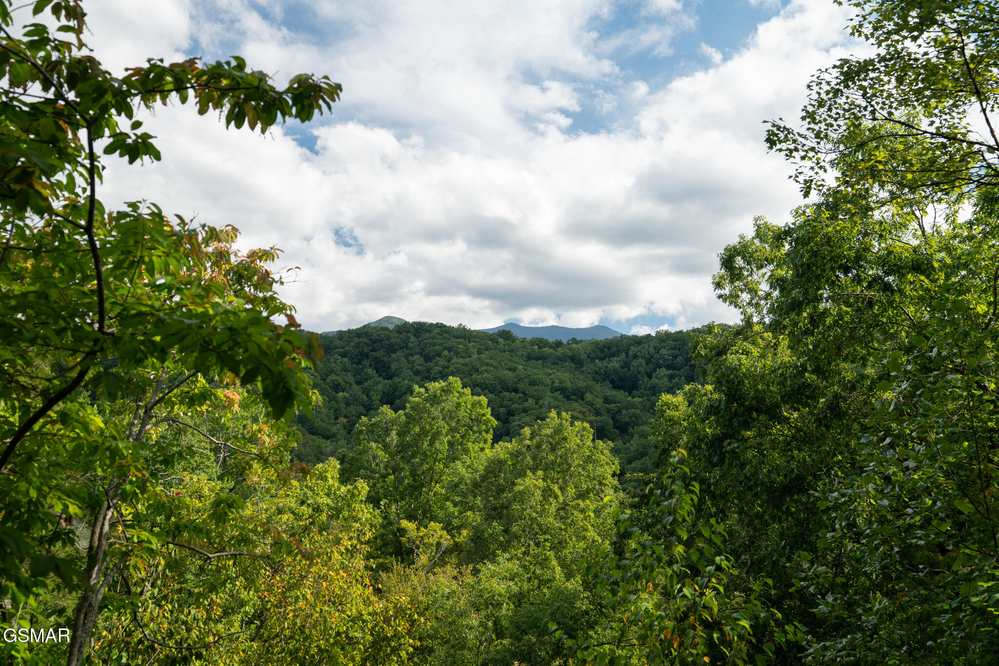 317 Brown Wren Way Gatlinburg TN 37738