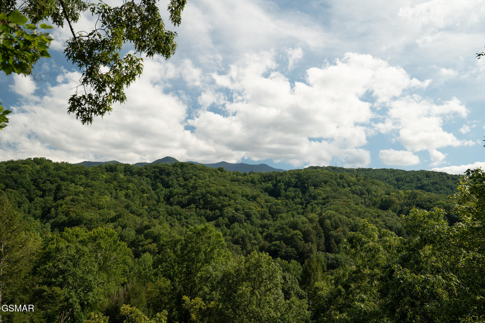 317 Brown Wren Way Gatlinburg TN 37738