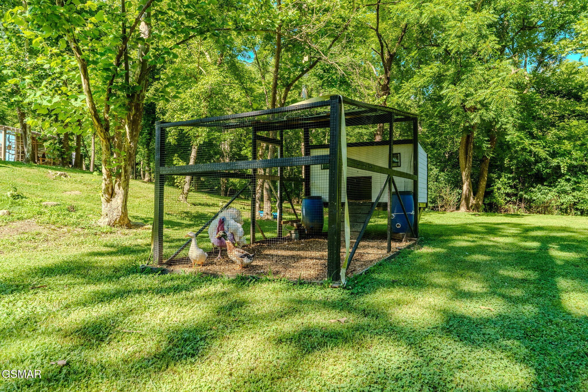 3158 Nevils Way Sevierville TN 37876