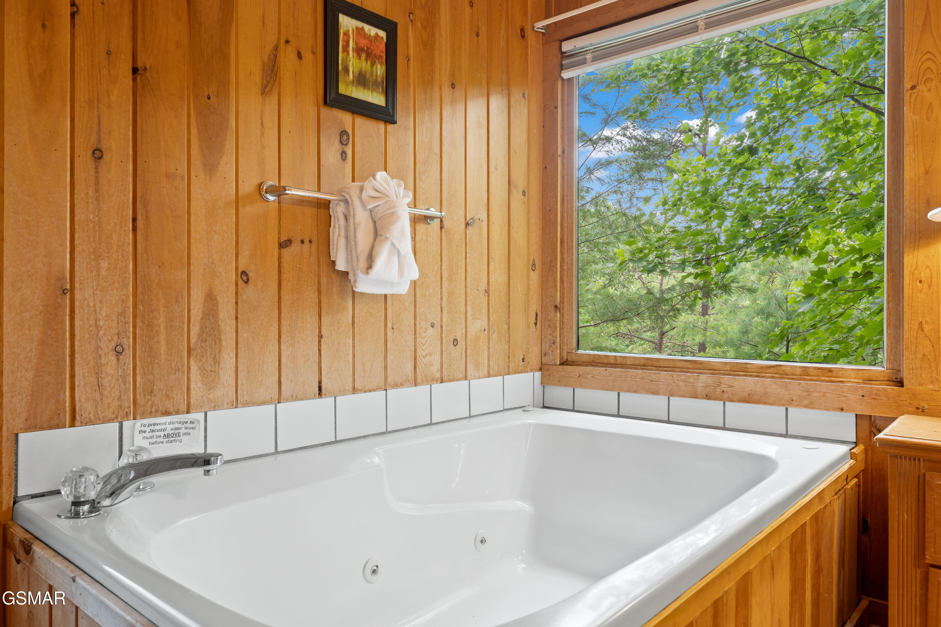 2050 Abbey Lane Way Sevierville TN 37862