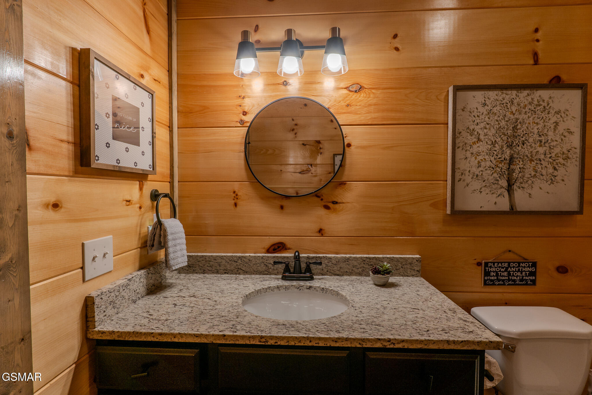 242 Lily Jo Way Sevierville TN 37876