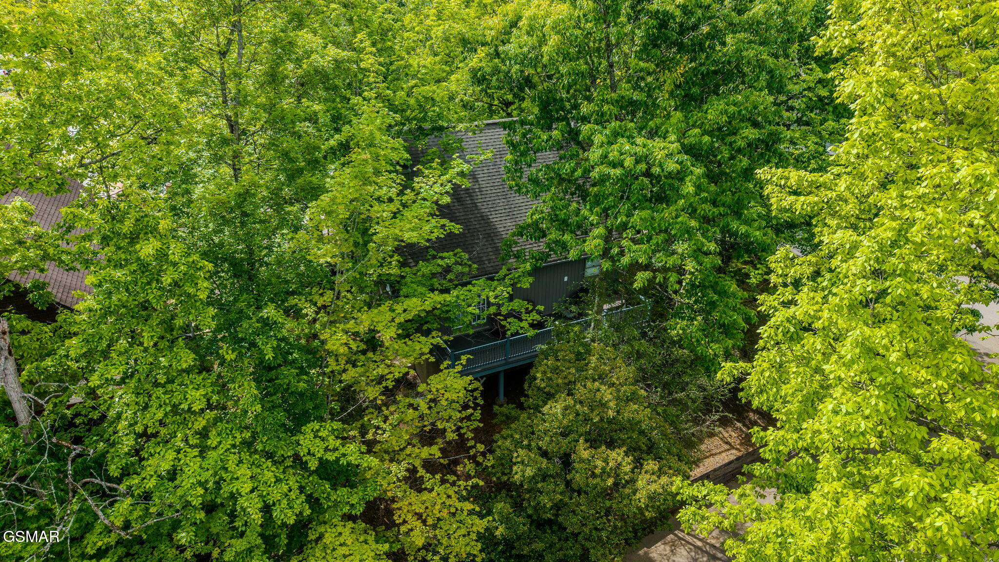 351 Woodridge Way Pigeon Forge TN 37863