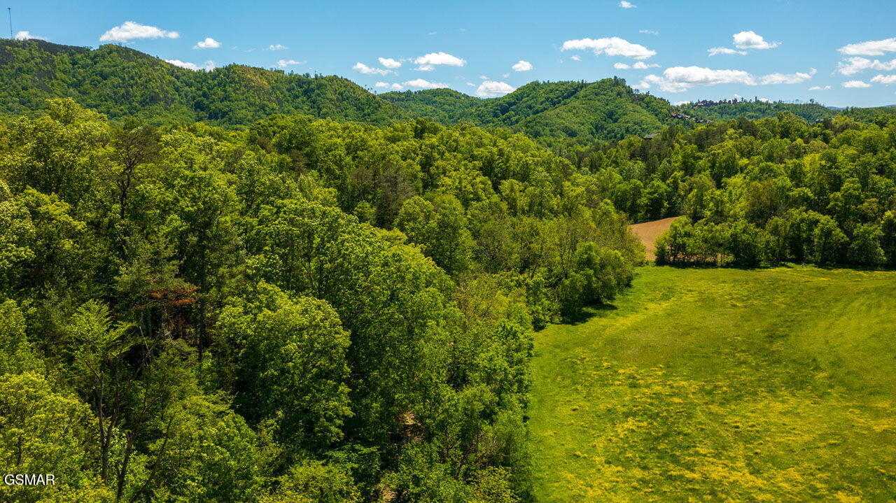 2234 Green Acres Circle Sevierville TN 37862