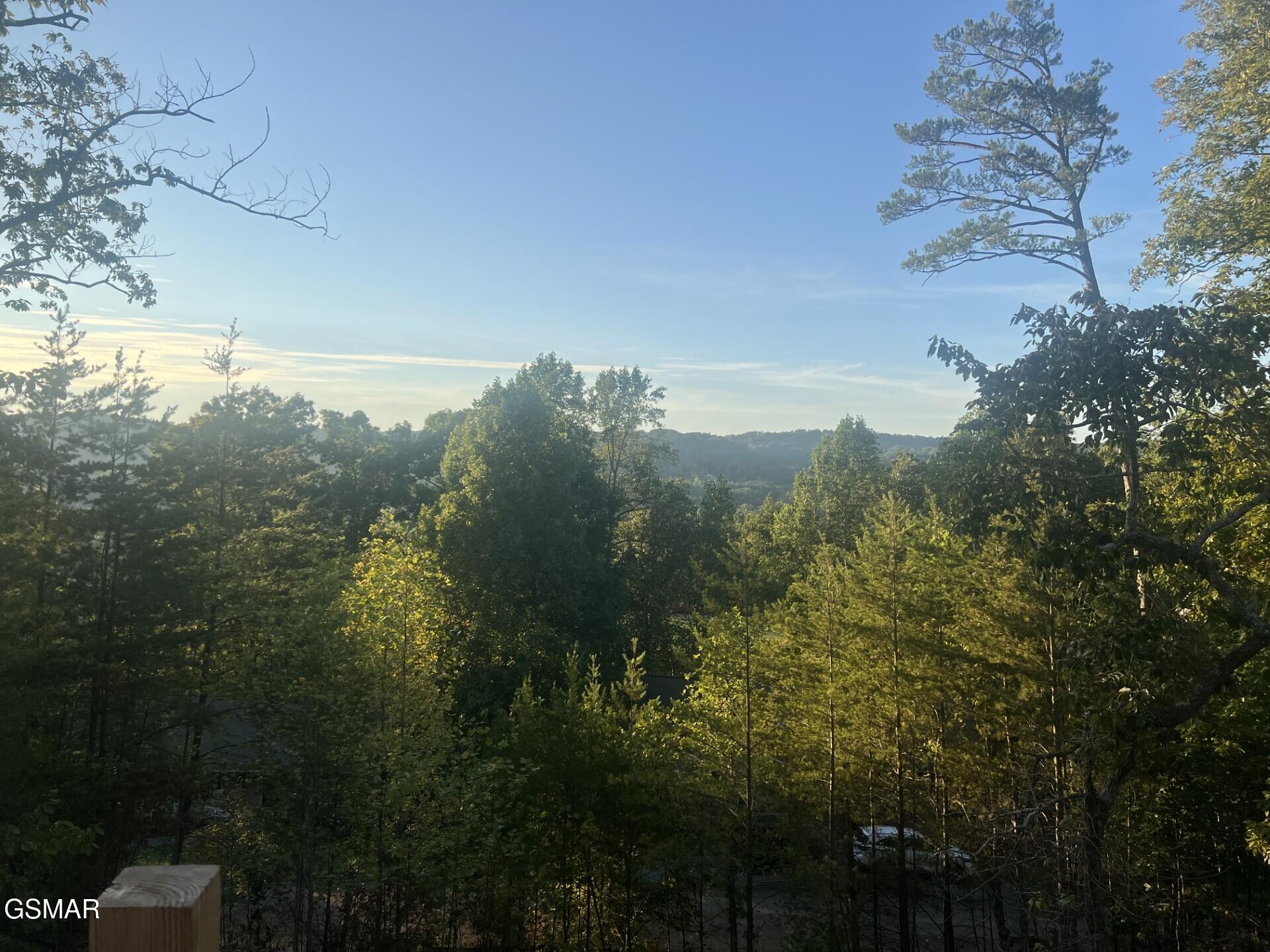 850 Trinity View Circle Seymour TN 37865