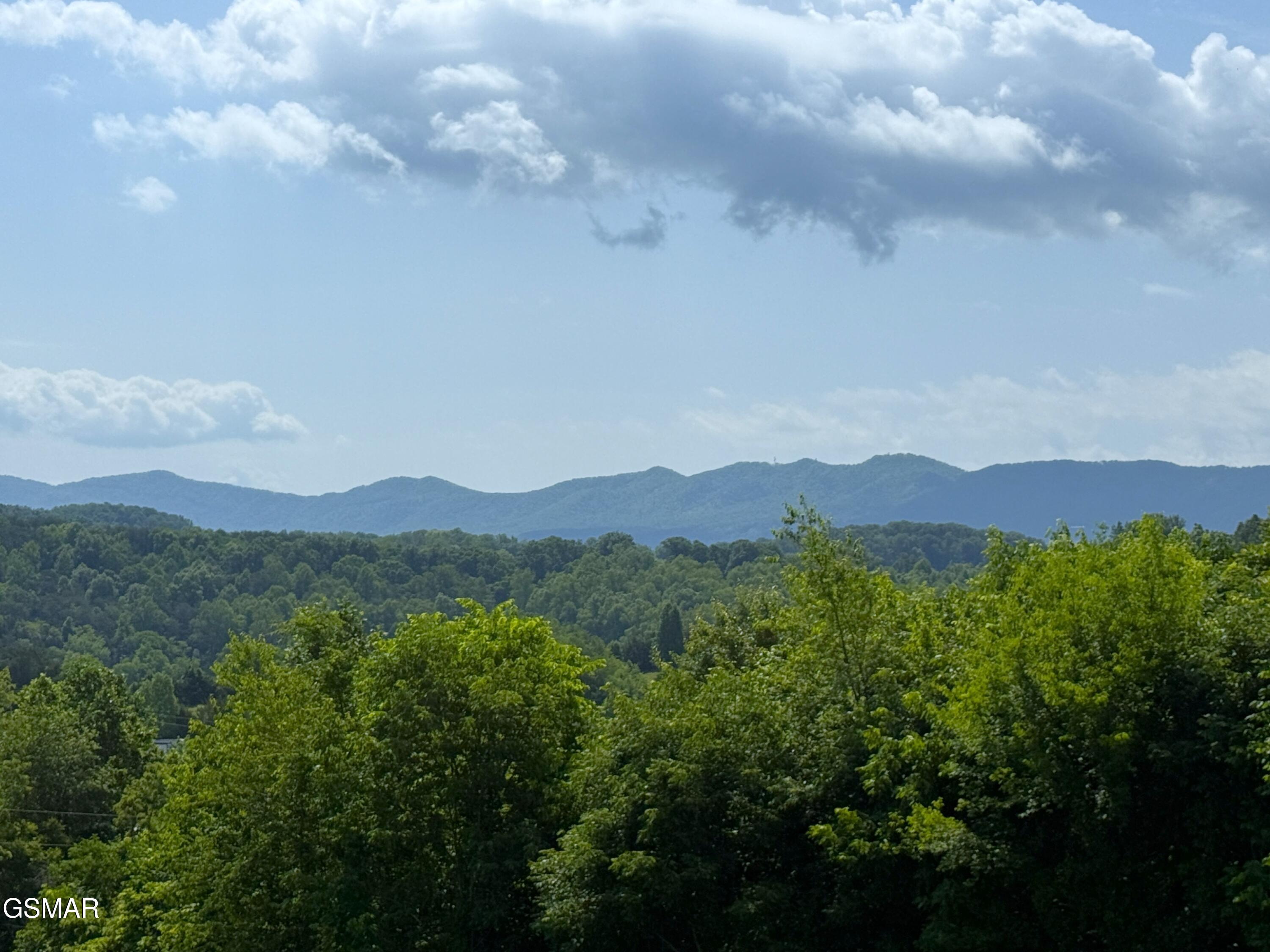 1066 Highland Meadows Way Parrottsville TN 37843