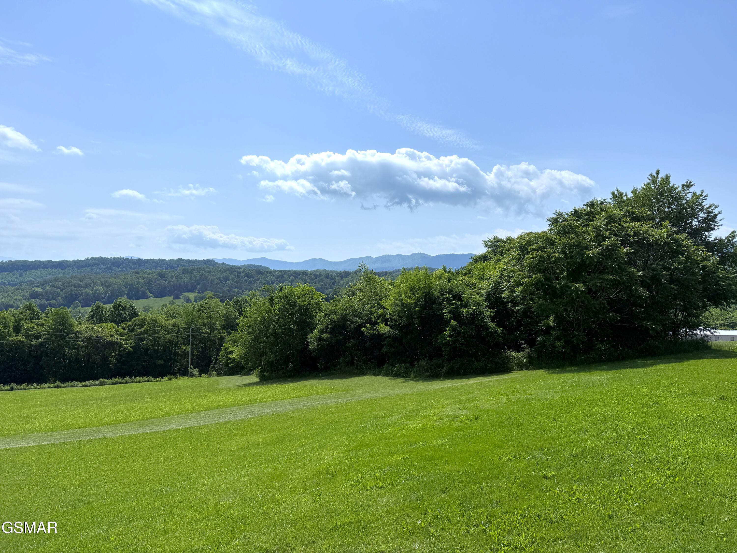 1066 Highland Meadows Way Parrottsville TN 37843