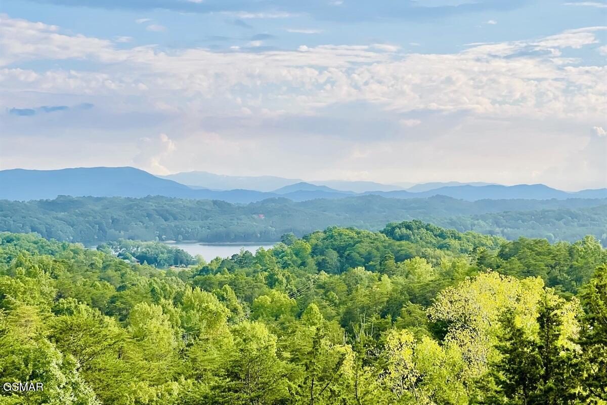 936 Buck Way Sevierville TN 37876