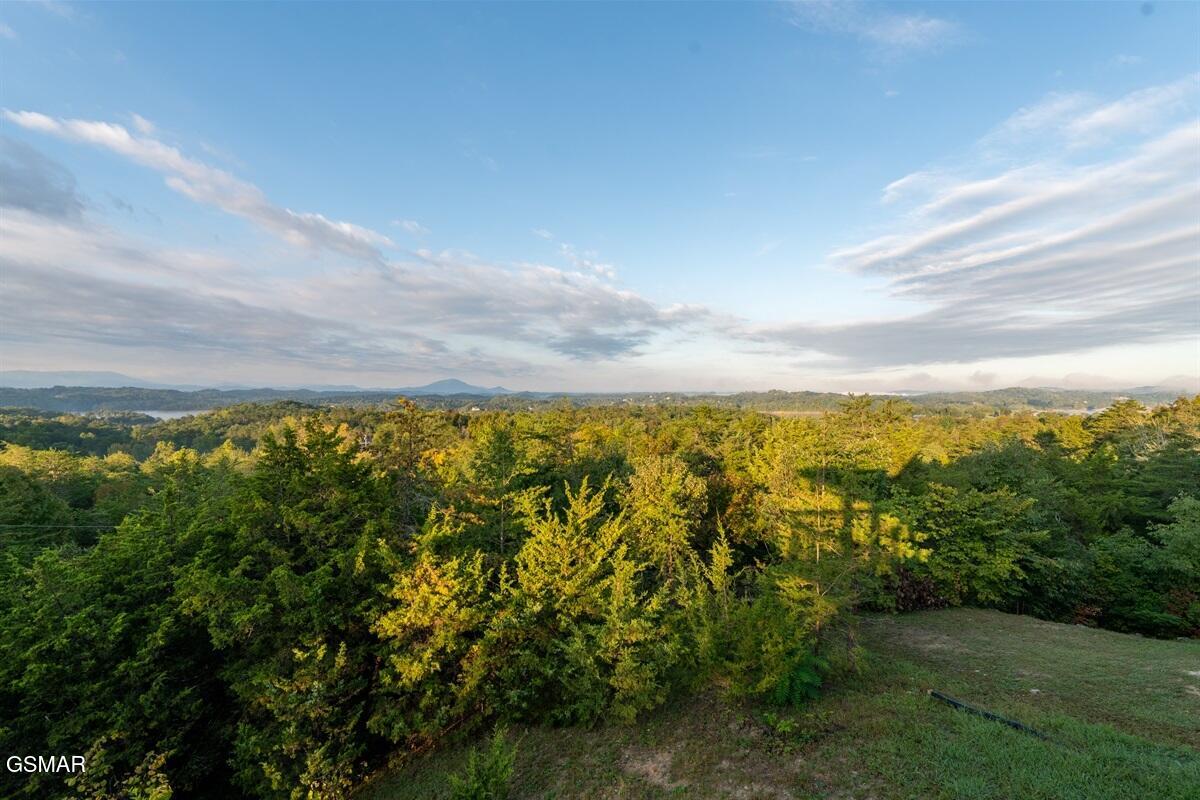 936 Buck Way Sevierville TN 37876