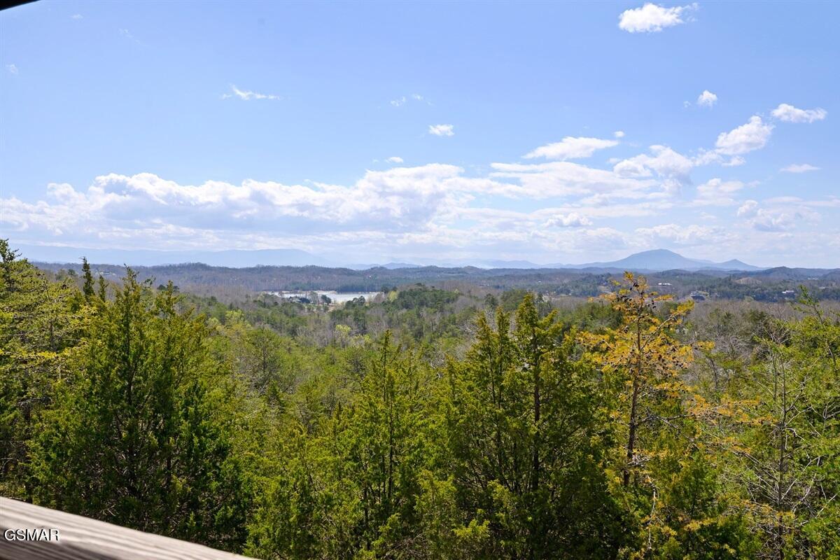 936 Buck Way Sevierville TN 37876