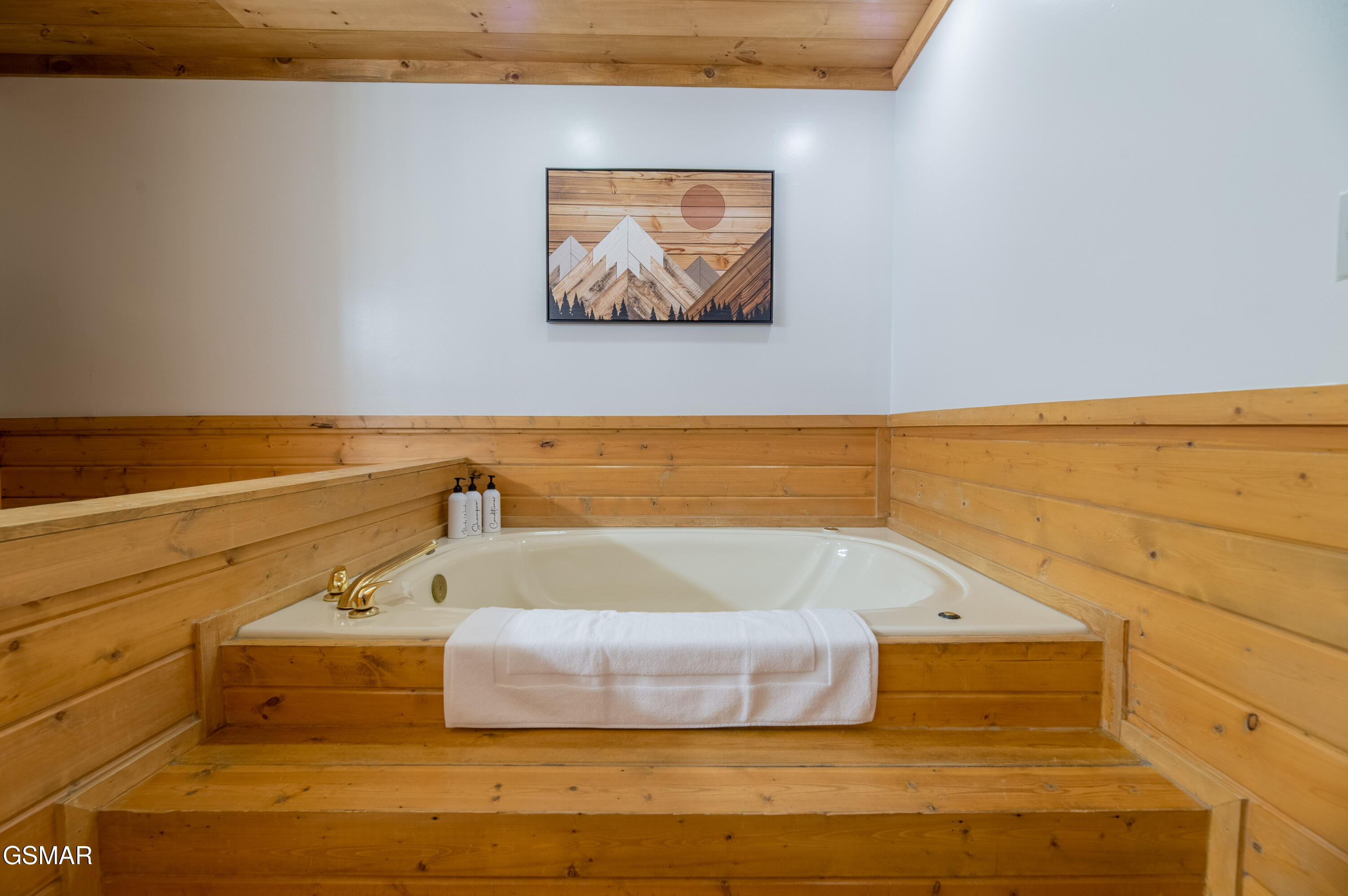 3670 Marian Lake Way Sevierville TN 37862