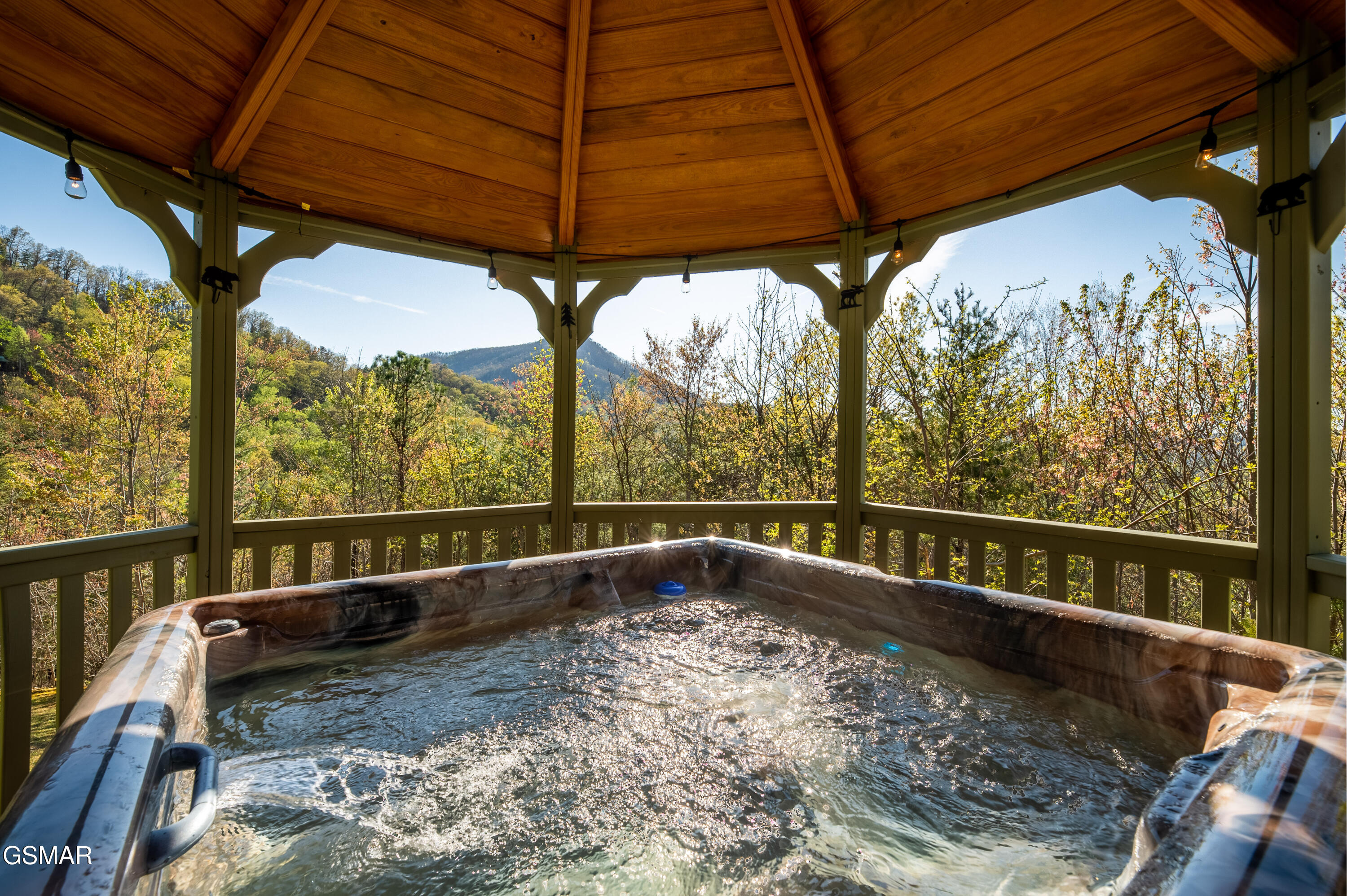3670 Marian Lake Way Sevierville TN 37862