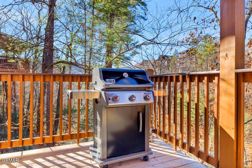 1110 Rocky Creek Way Pigeon Forge TN 37863