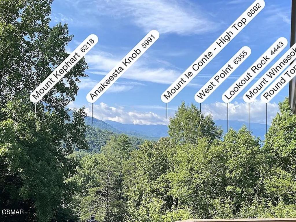 3709 Eagle Lane Gatlinburg TN 37738