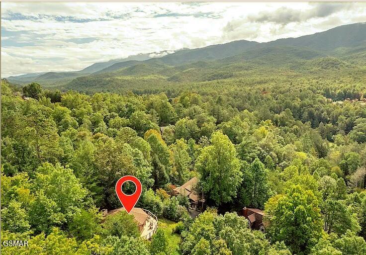 3709 Eagle Lane Gatlinburg TN 37738
