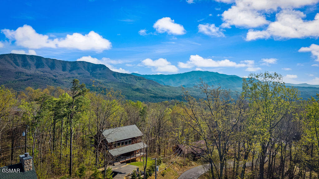 834 Pine Top Lane Gatlinburg TN 37738