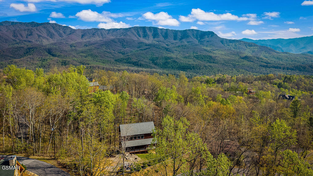 834 Pine Top Lane Gatlinburg TN 37738