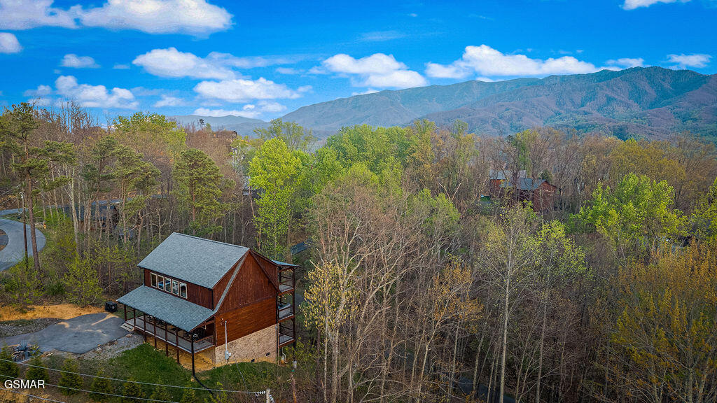 834 Pine Top Lane Gatlinburg TN 37738
