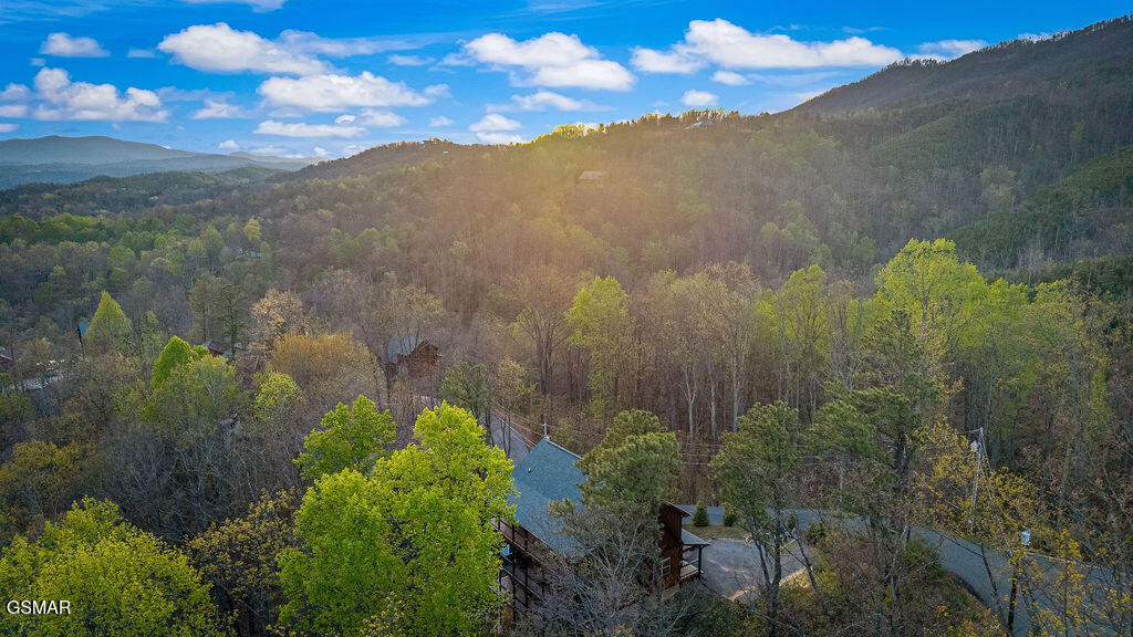 834 Pine Top Lane Gatlinburg TN 37738