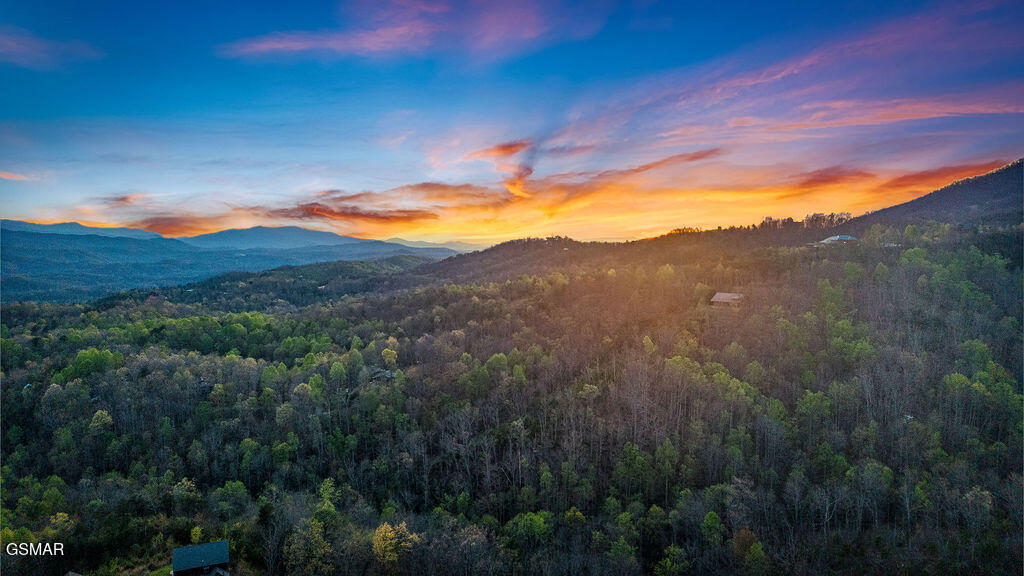 834 Pine Top Lane Gatlinburg TN 37738
