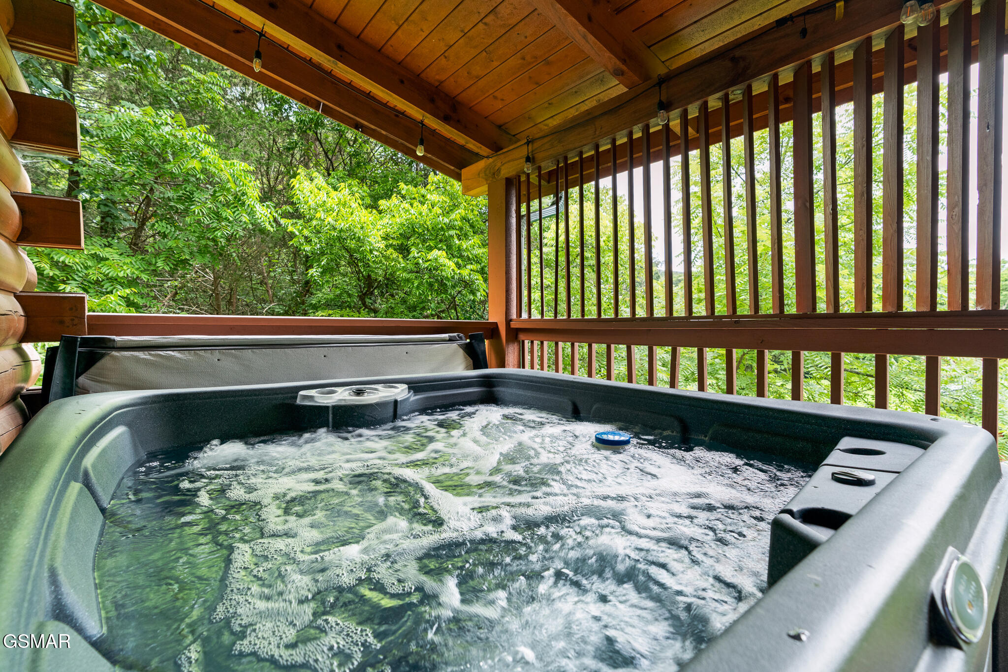 1915 Leatherwood Lane Sevierville TN 37862