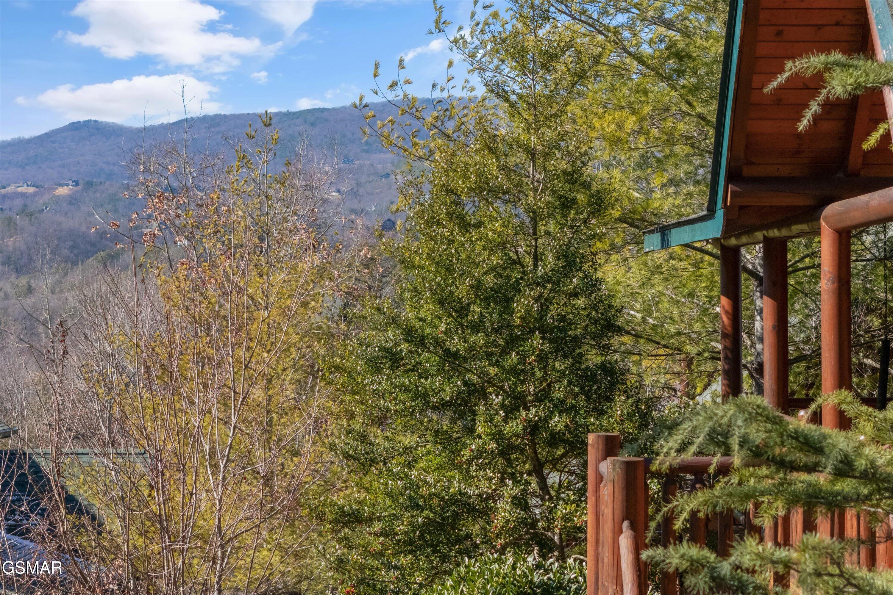 1679 Mountain Lodge Way Pigeon Forge TN 37862