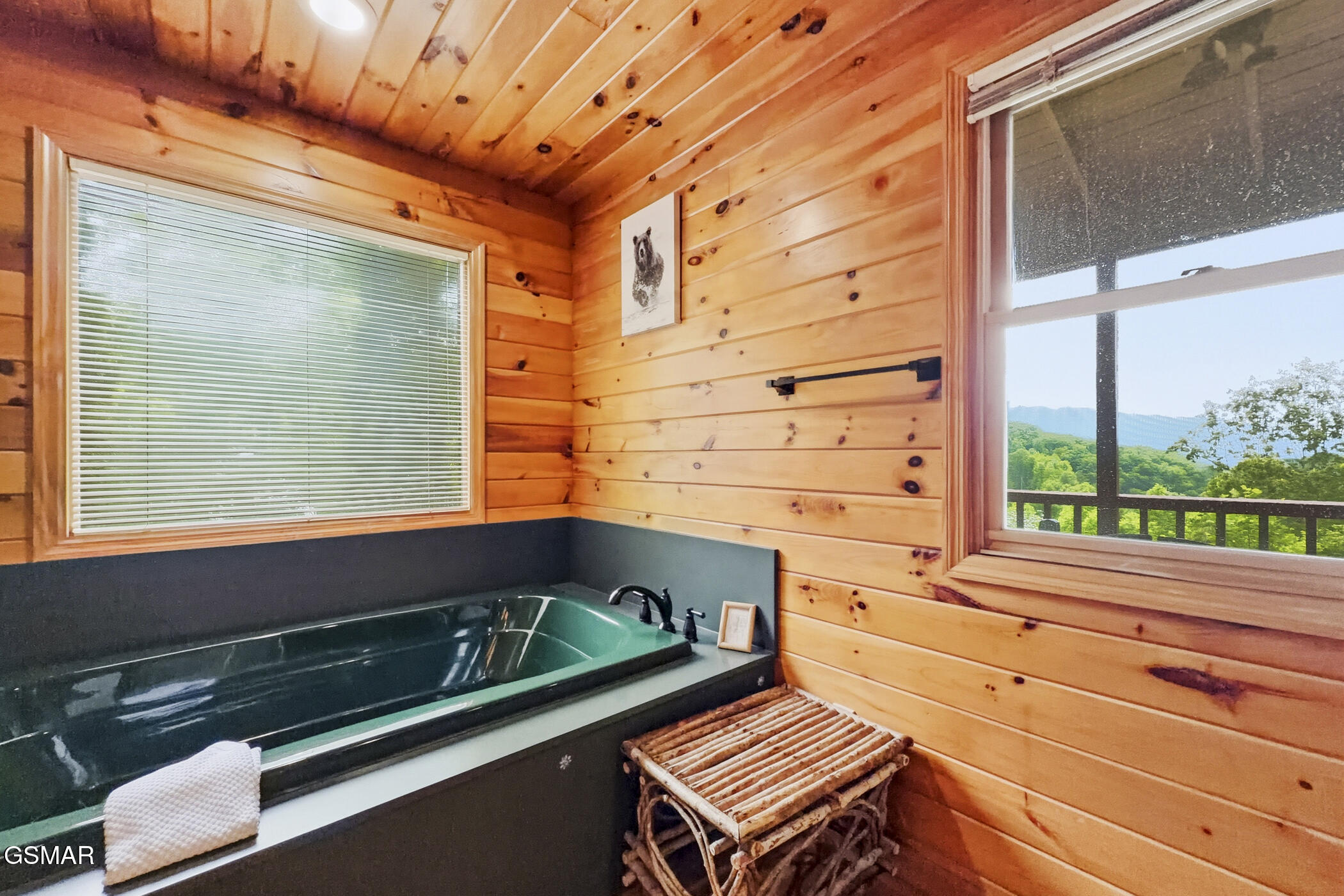 817 Sunshine Trail Gatlinburg TN 37738