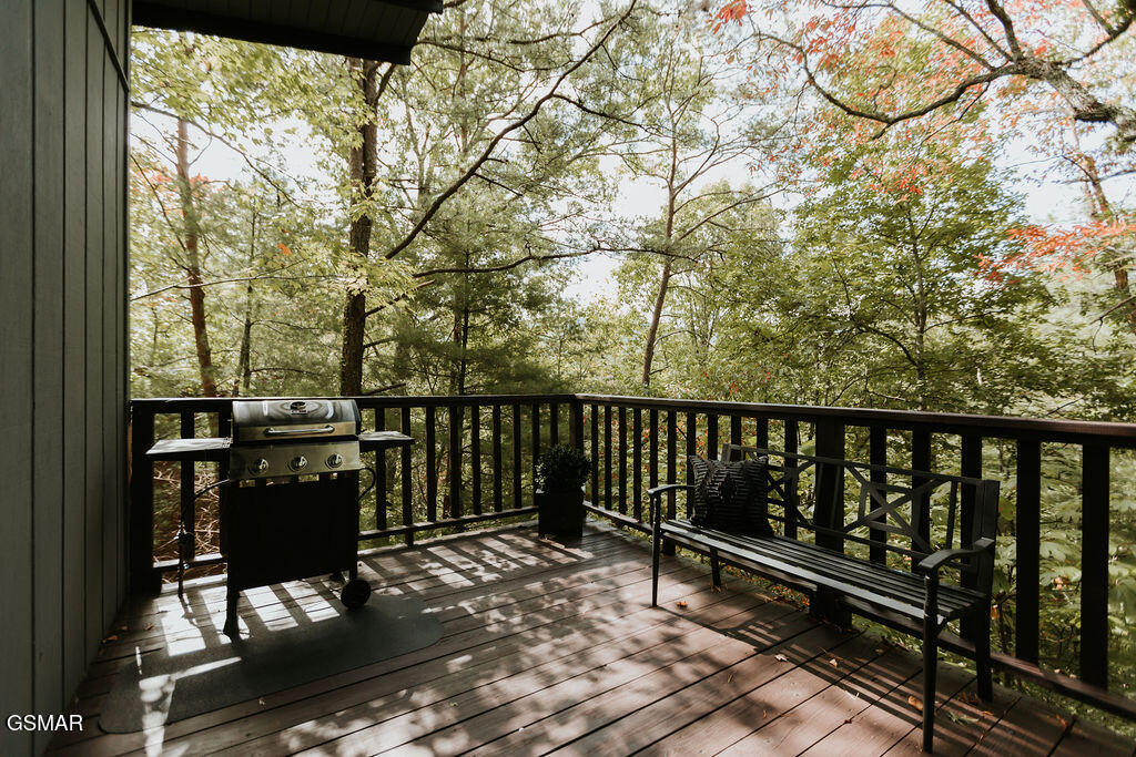 207 Cutter Gap Road Townsend TN 37882