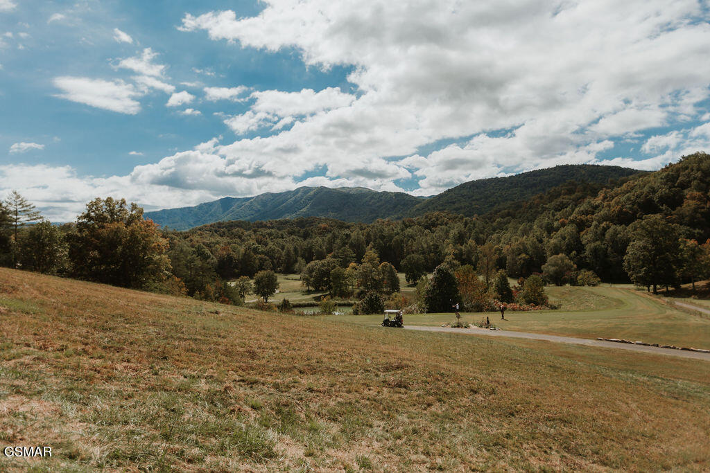 207 Cutter Gap Road Townsend TN 37882
