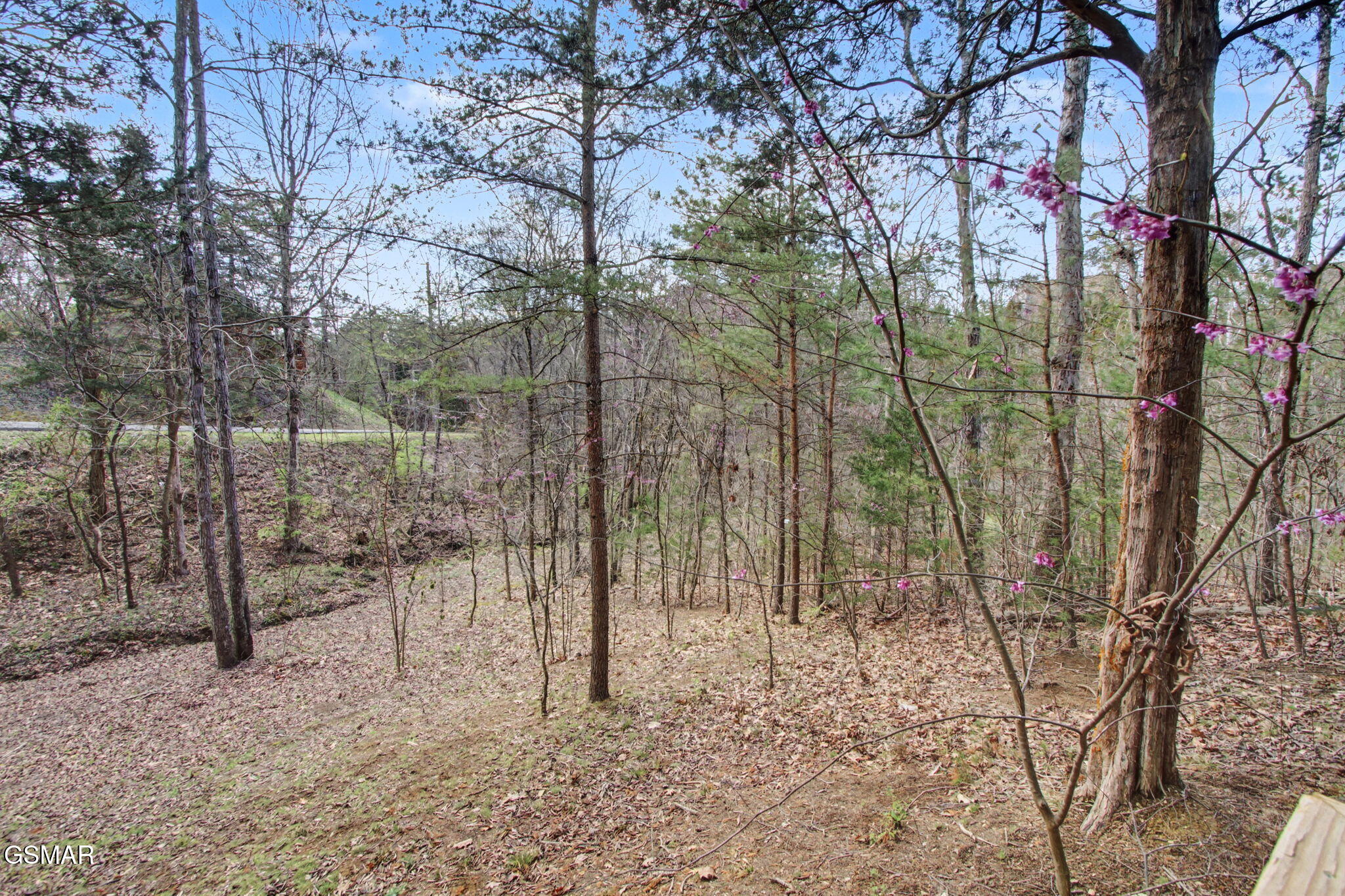 1023 Gordon Way Sevierville TN 37876
