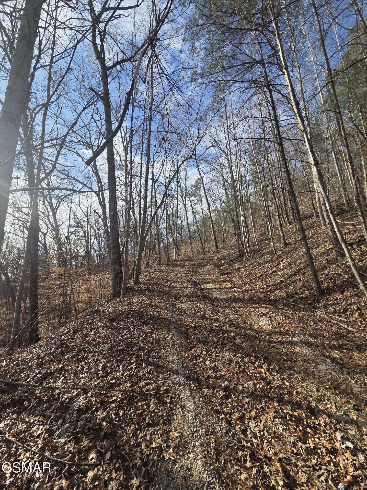 4549 Harriman Highway Harriman TN 37748