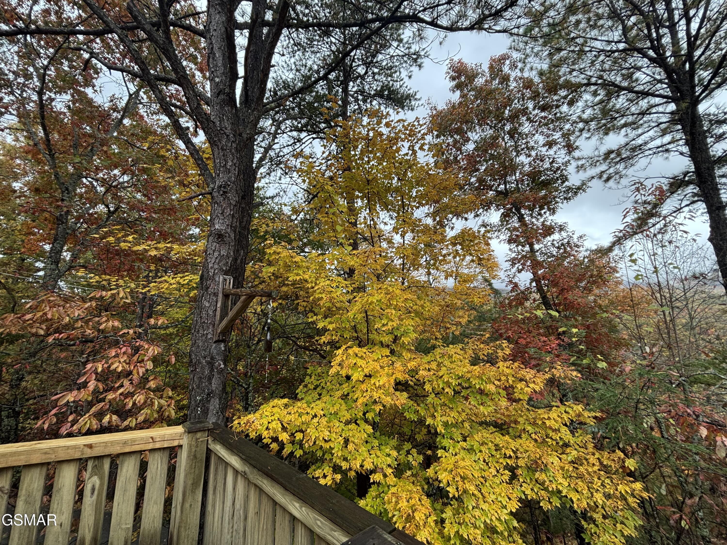 317 Matterhorn Drive Gatlinburg TN 37738