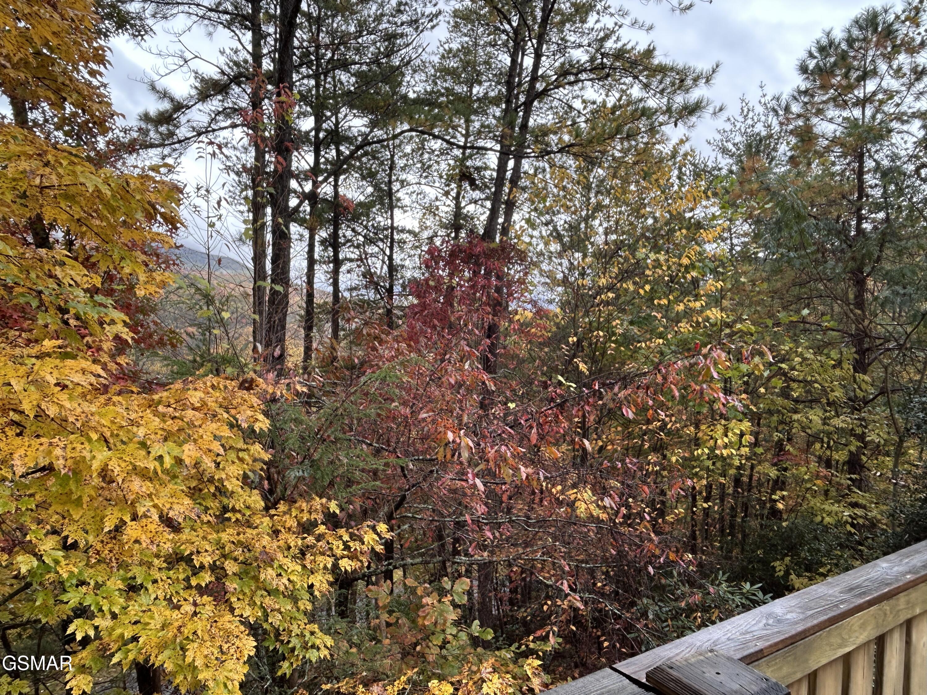 317 Matterhorn Drive Gatlinburg TN 37738