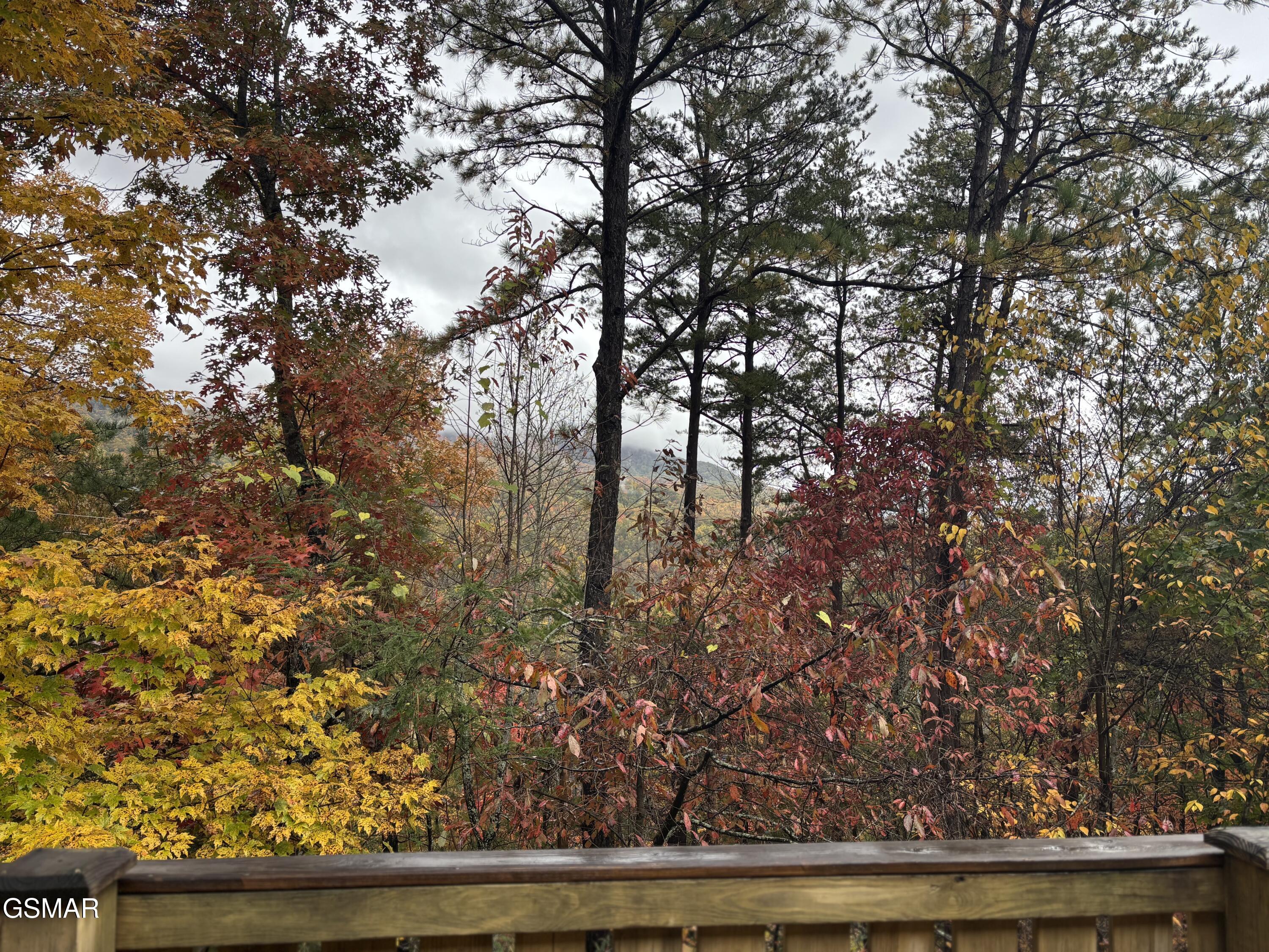 317 Matterhorn Drive Gatlinburg TN 37738