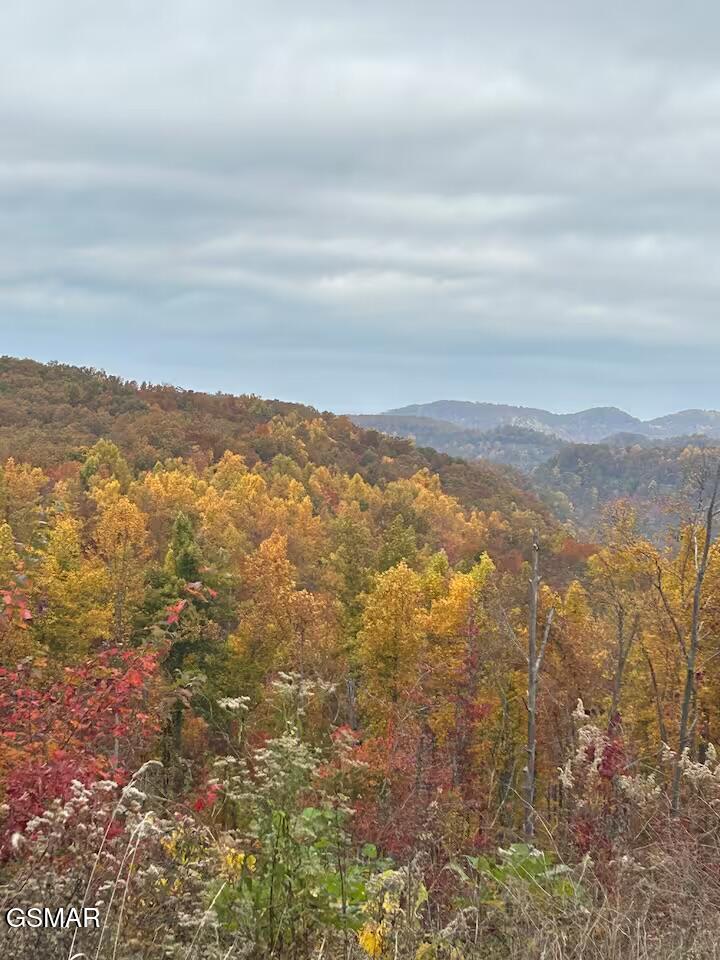 1903 Oneil Road Newport TN 37821