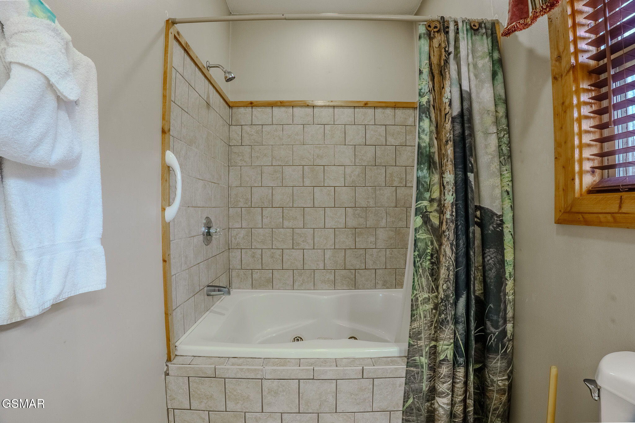 4170 Chamberlain Lane Sevierville TN 37862