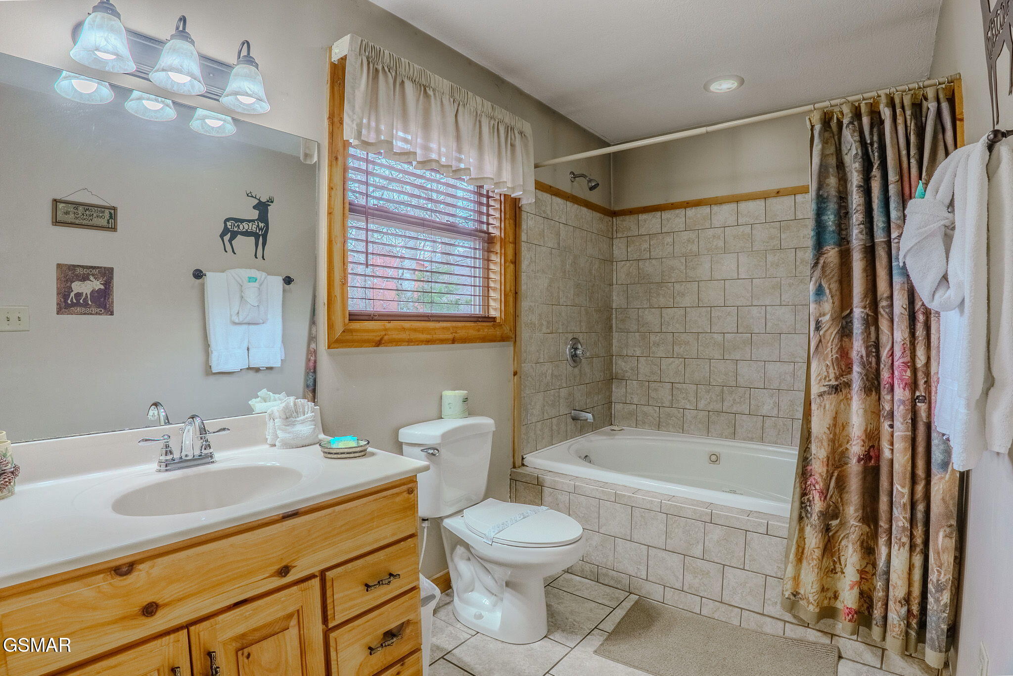 4170 Chamberlain Lane Sevierville TN 37862