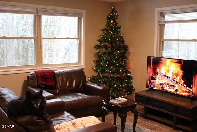 514 Gatlin Drive Gatlinburg TN 37738