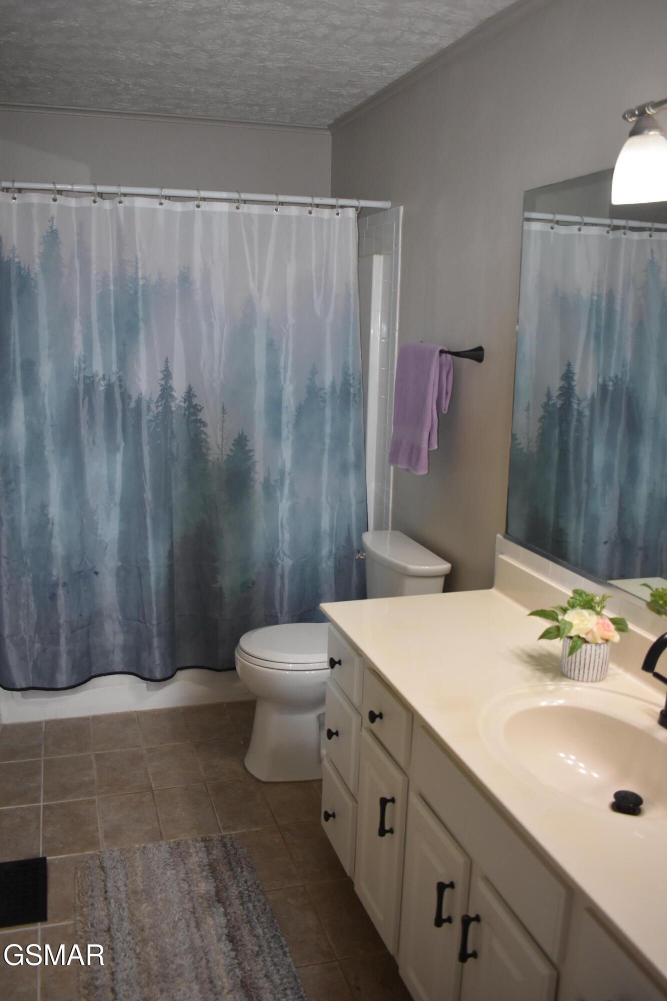 514 Gatlin Drive Gatlinburg TN 37738