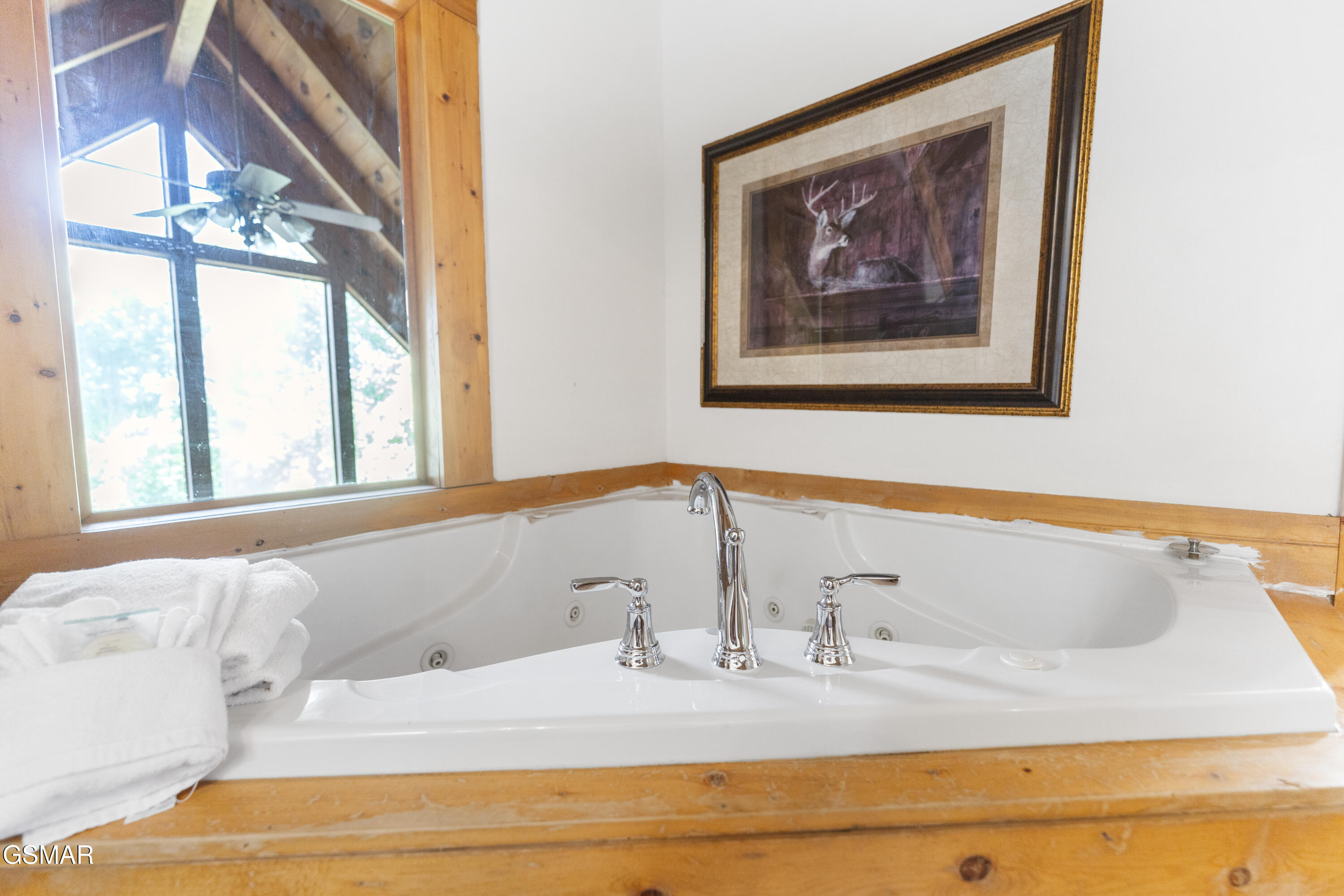 1251 Bear Cub Way Gatlinburg TN 37738