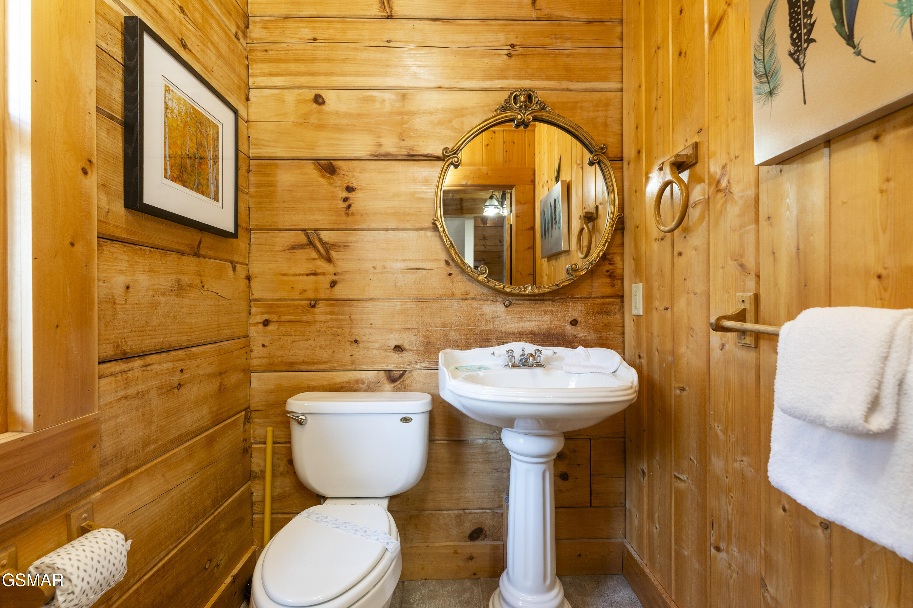 1251 Bear Cub Way Gatlinburg TN 37738