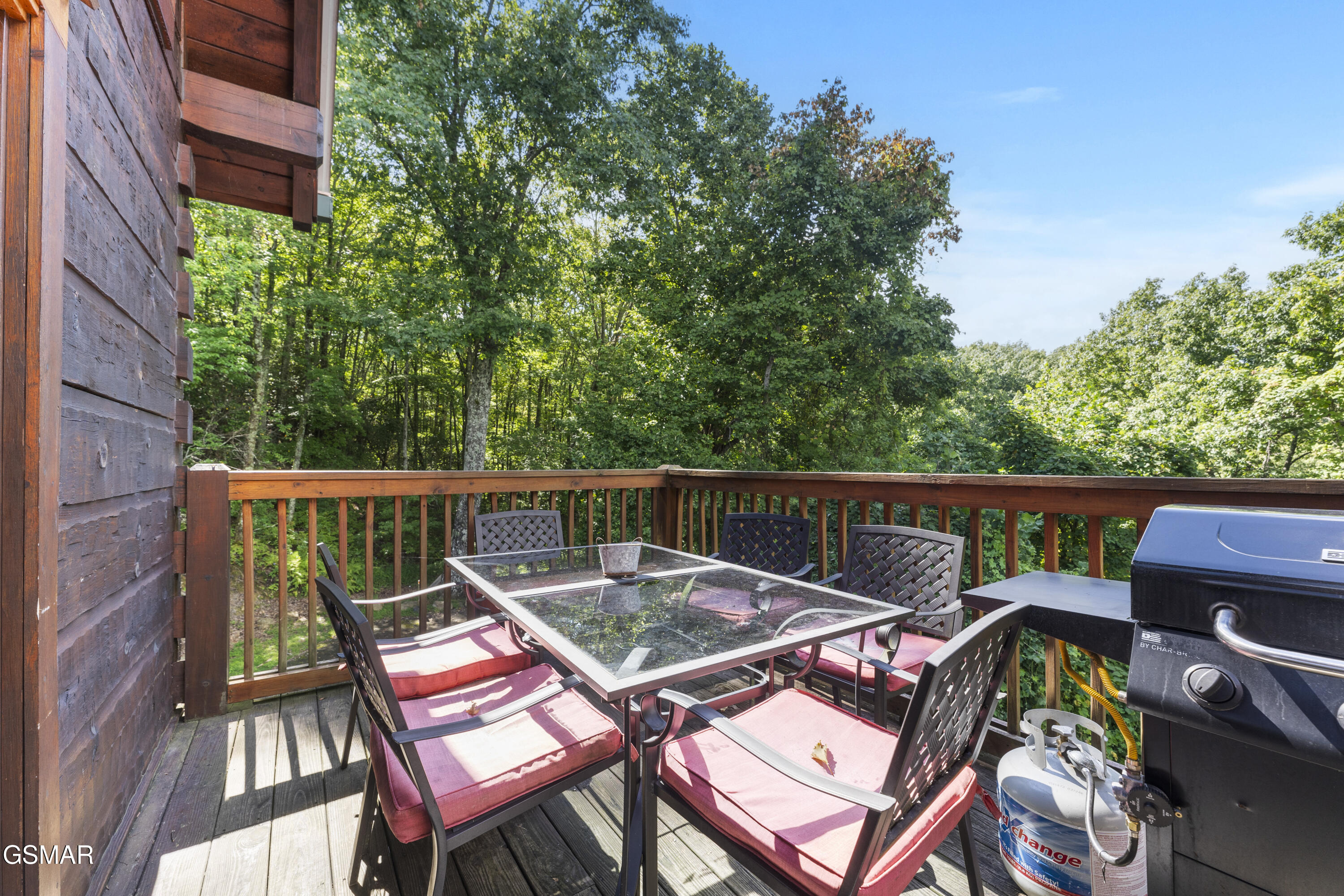 1251 Bear Cub Way Gatlinburg TN 37738