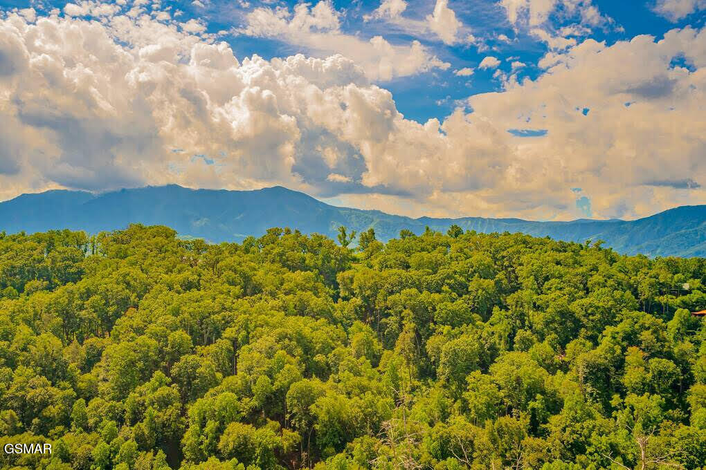 859 Sourwood Drive Gatlinburg TN 37738