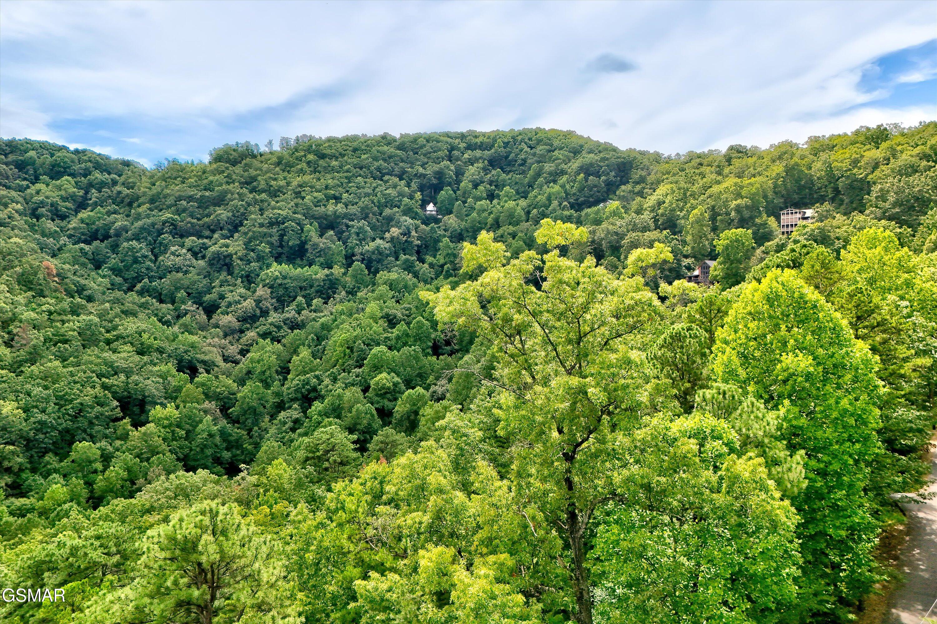 2743 Overholt Trail Sevierville TN 37876