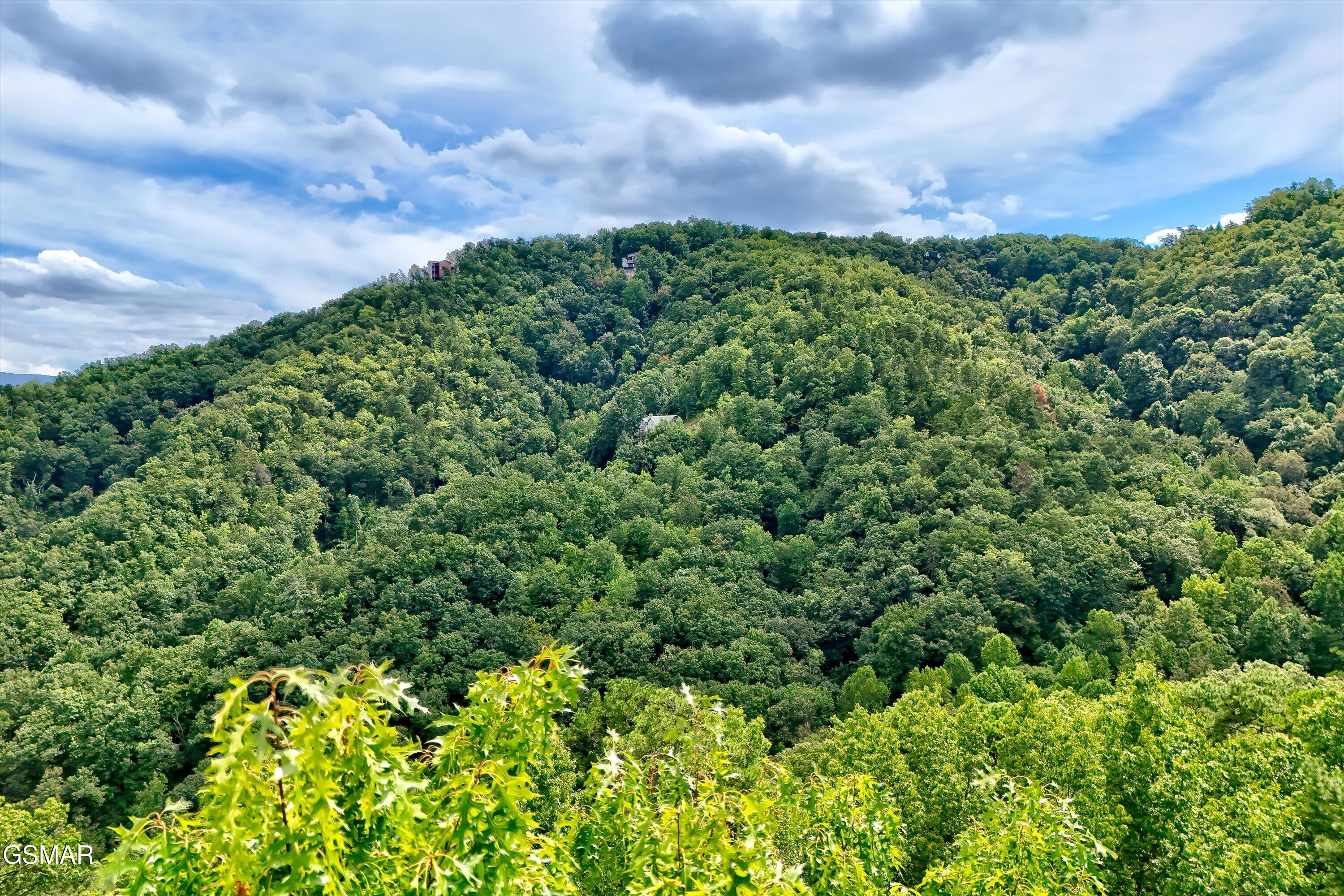 2743 Overholt Trail Sevierville TN 37876