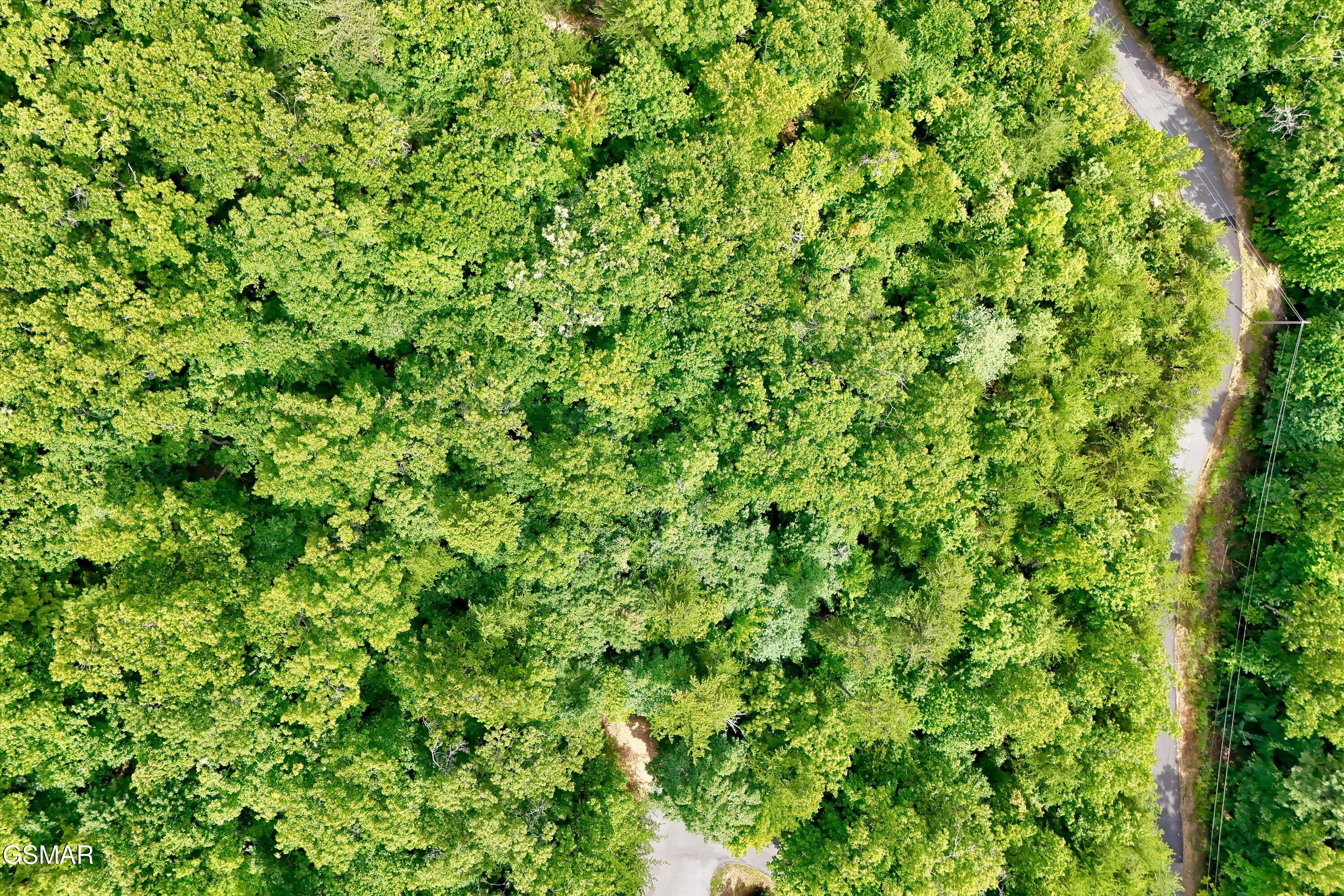 2743 Overholt Trail Sevierville TN 37876