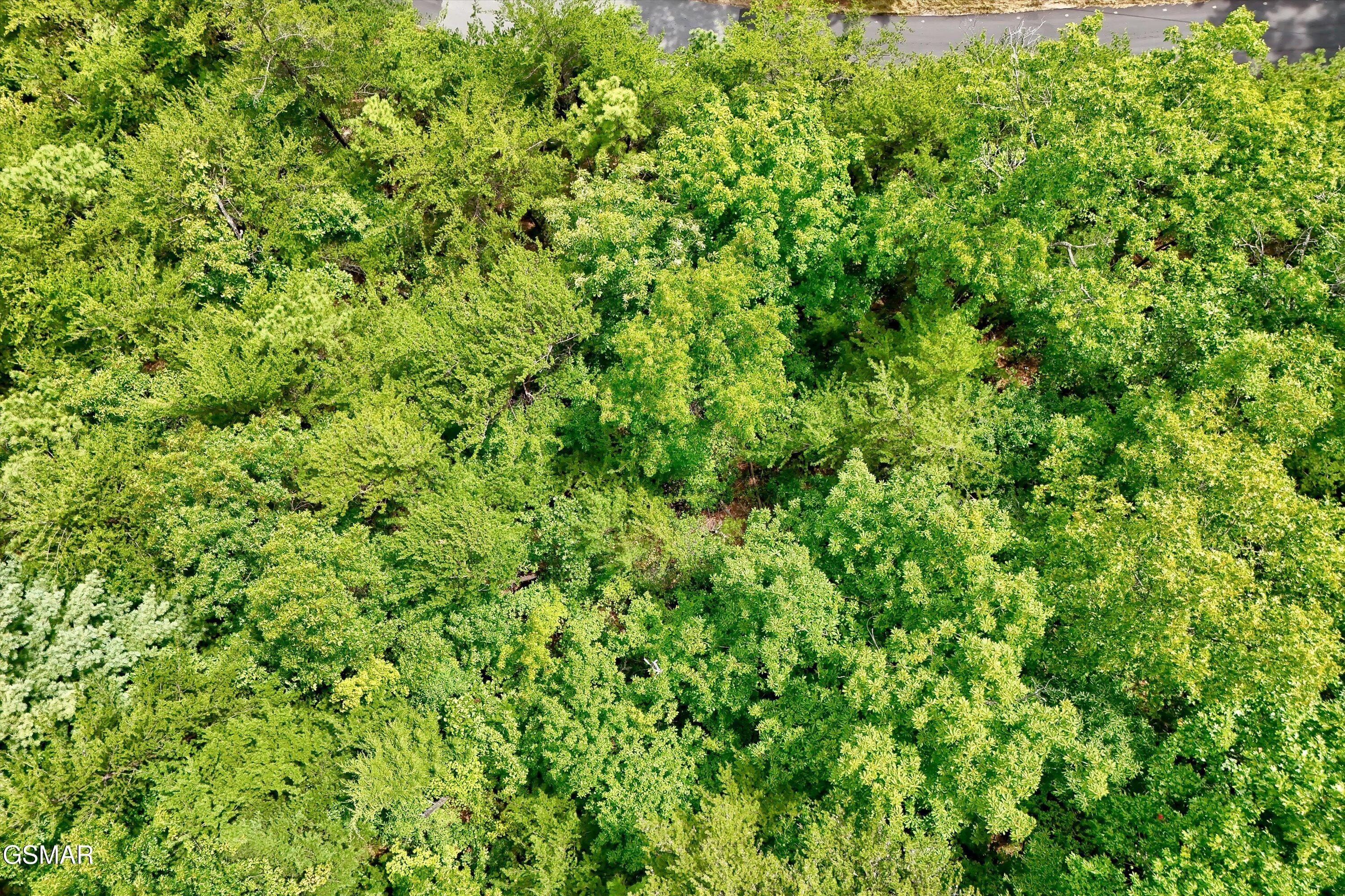 2743 Overholt Trail Sevierville TN 37876